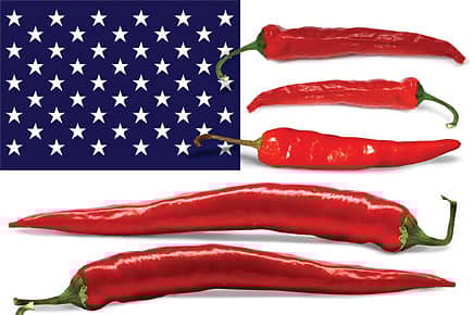 Spice of Life