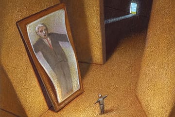 Ugly Duckling Syndrome