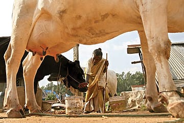 To Catch an Assassin