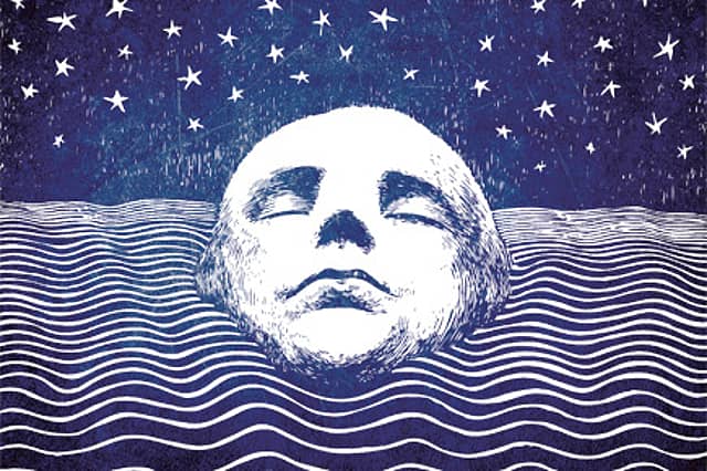 On Mind and Mindness