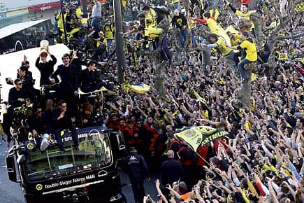 A Yellow-Black Fairytale