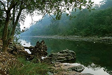 India Strikes Roots in UN Biospheres