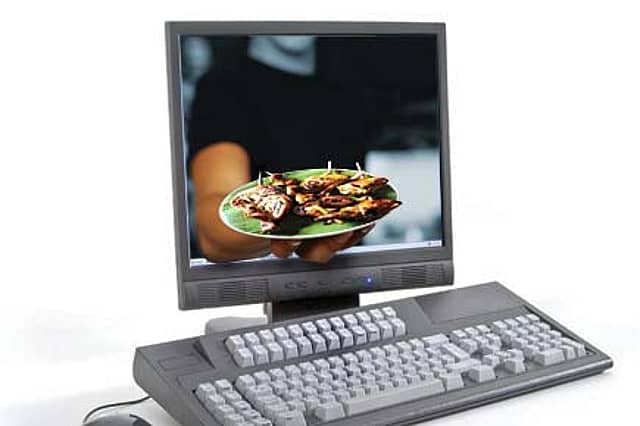 The Virtual Restaurant