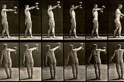 The Zen of Weightlifting