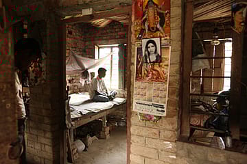 Spare Us Crocodile Tears