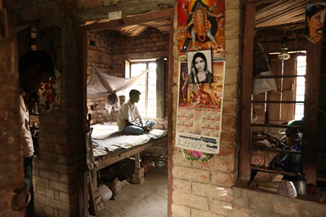 Spare Us Crocodile Tears