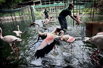 Memories of Another Winter