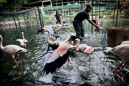 Memories of Another Winter