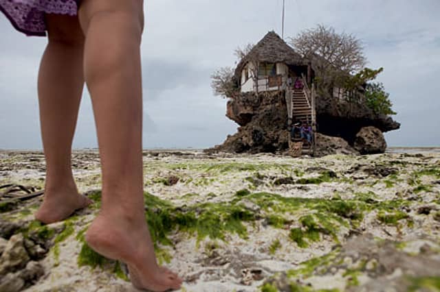 Paradise Island, Up Close and Real