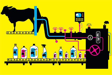 Cows for the Cause of a Clean India