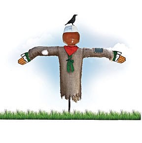 Without Land or Leader