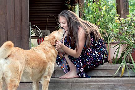 Dogs Can Read Human Faces