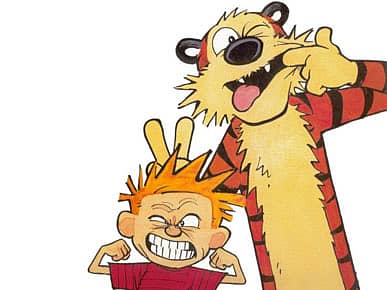 Thank you for the comic, Mr Watterson