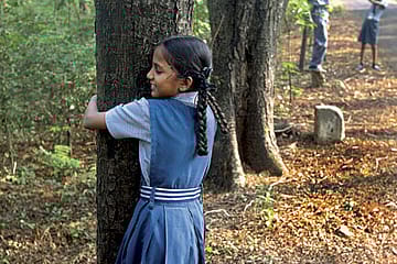 Mumbai’s Chipko Movement