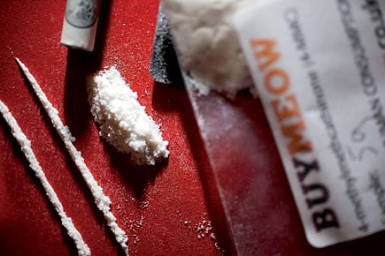 On A Meow Meow High in Mumbai