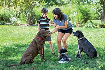 Why Dogs Love Humans