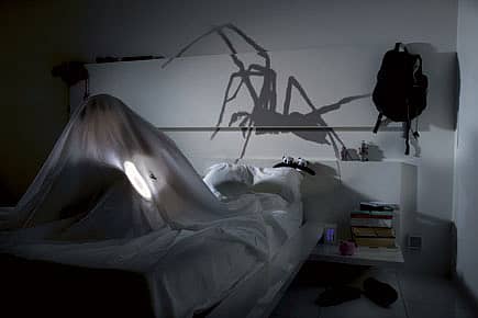 Fear of Spiders