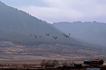 On the Wings of Happiness in Bhutan