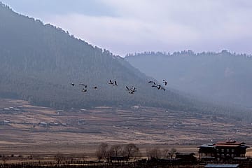 On the Wings of Happiness in Bhutan