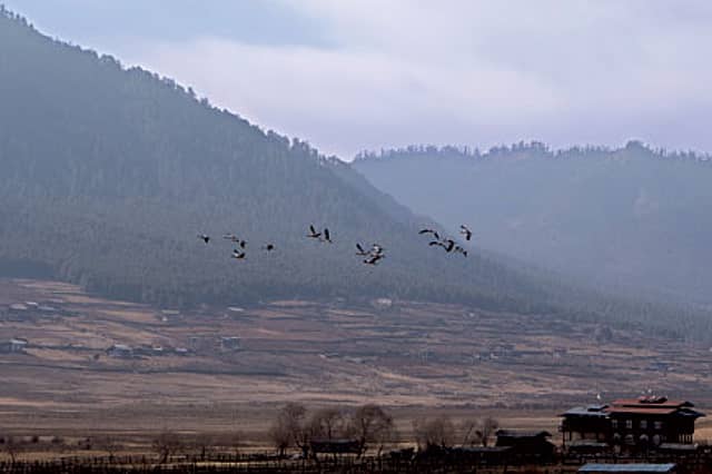On the Wings of Happiness in Bhutan