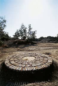 You are the way you cook