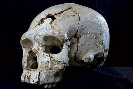 Murder most old