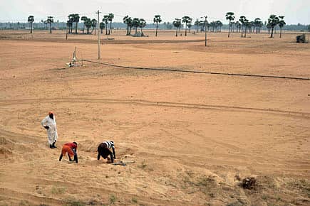 The truth about heat wave deaths