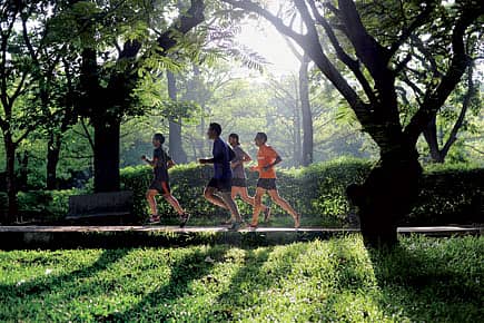 Let’s Run Ultra