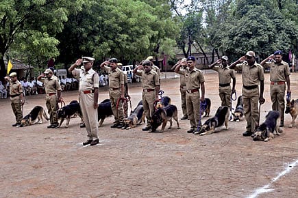 A Canine Force to Sniff out Poachers