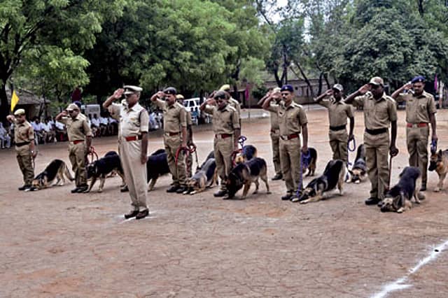 A Canine Force to Sniff out Poachers