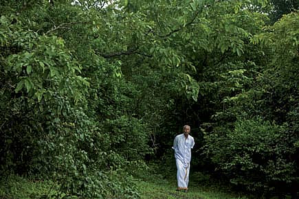 Abdul Kareem: At Home in the Woods