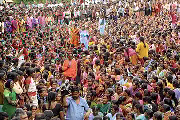 Two Leaves and A Rebellion