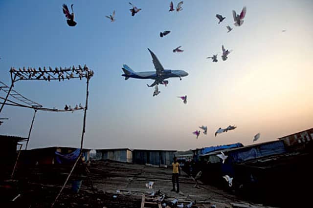 Putting Pigeons on the Pill