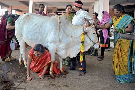 Don’t Blame the Cow