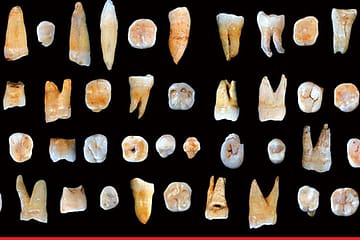 The Great Migration Shift