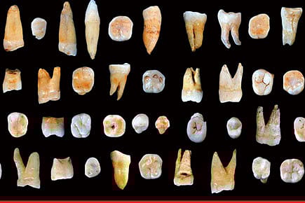 The Great Migration Shift