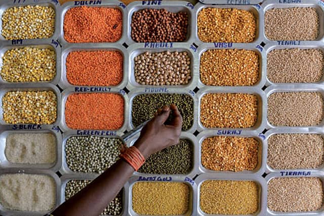 The Dal Price Rise