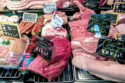 Processed Meat and Cancer