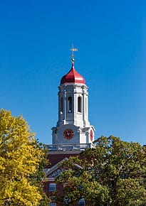 The Deal Our Bureaucrats Deserve