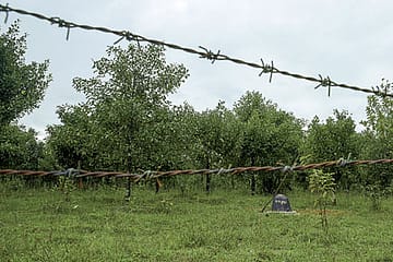 On the Sultan’s Trail