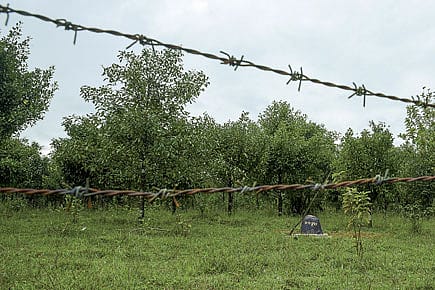 On the Sultan’s Trail