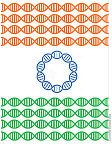 DNA Is Destiny DNA Is Destiny