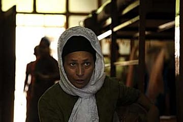 For Solace and Refuge