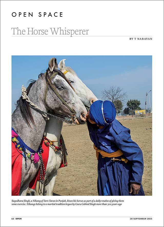 The Horse Whisperer