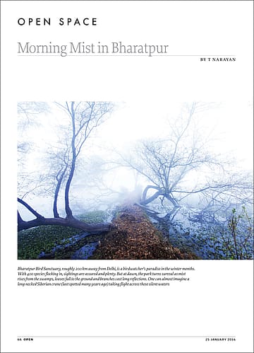 Morning Mist in Bharatpur