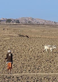 Bundelkhand: Everybody Loves a Good Pre-Election Drought