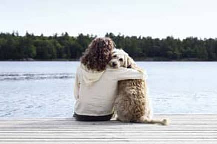 Your Dog Gets You