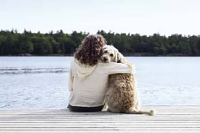 Your Dog Gets You