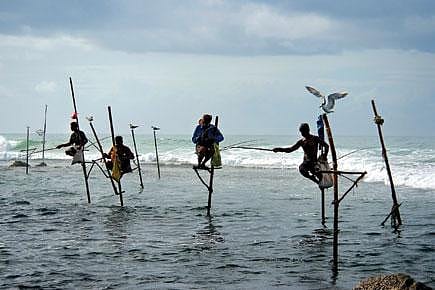 Galle Literary Festival: Stories by the Sea