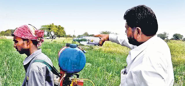 Where Alcohol is Not Injurious to Health